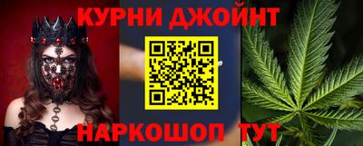 сатива Будённовск