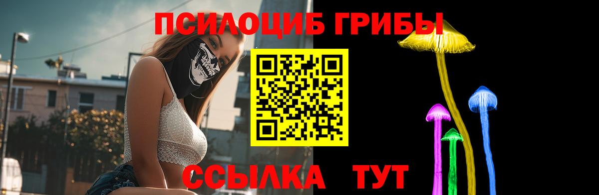 Галлюциногенные грибы Psilocybine cubensis Богородск